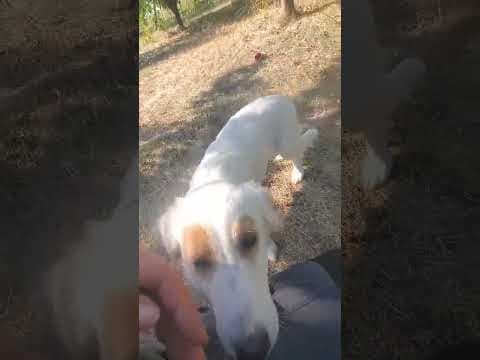 Charline en vidéo 1
