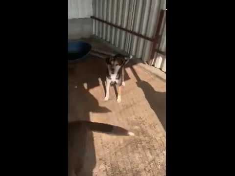 Praline en vidéo 2