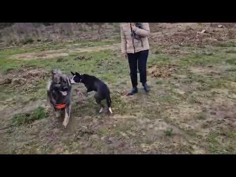 Kenjy en vidéo 9