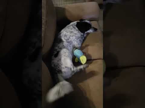 Deltyva en vidéo 6