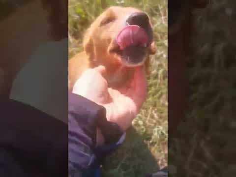 Sweet en vidéo 6