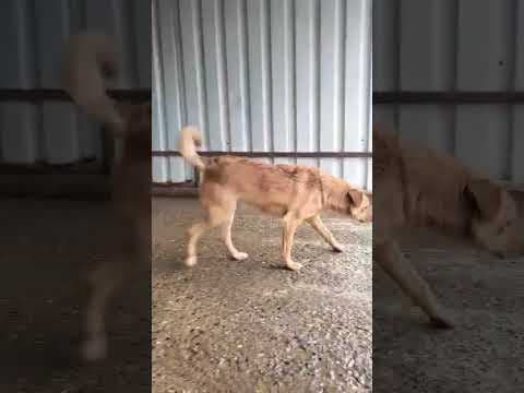 Murphy en vidéo 1
