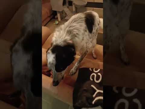 Deltyva en vidéo 5