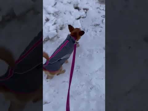 Artea en vidéo 9