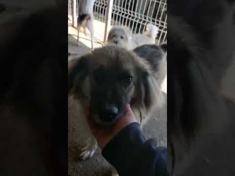Victor en vidéo 4