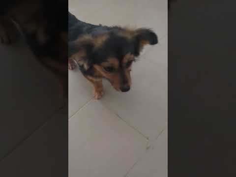 Pia en vidéo 3