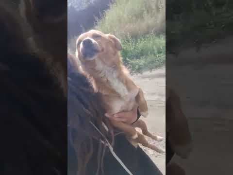 Sweet en vidéo 3