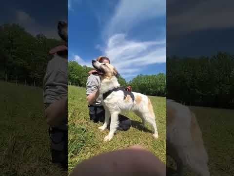 Siena en vidéo 2