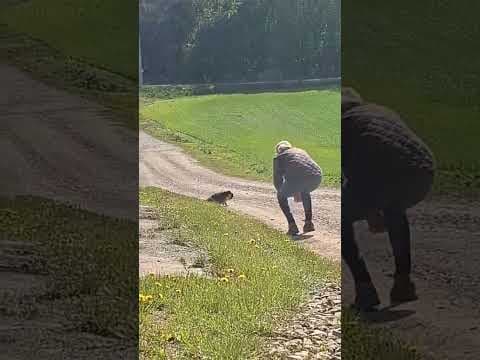 Kenya en vidéo 1