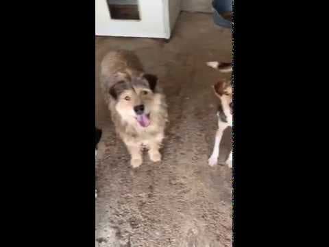 Praline en vidéo 4