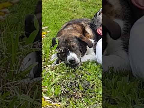Bunker en vidéo 10