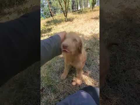 Lunelle en vidéo 1