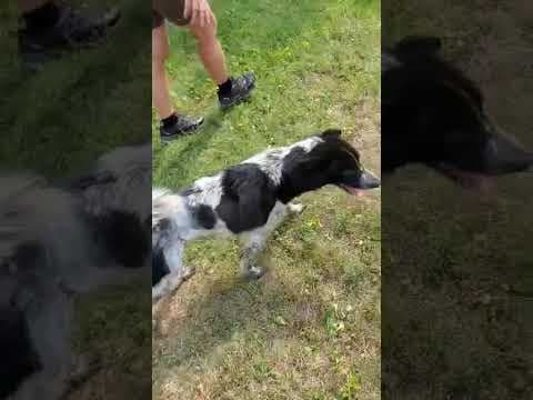 Cocky en vidéo 5