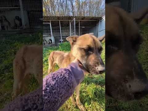 Bingo en vidéo 1
