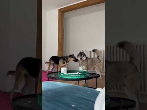 Lola en vidéo 8