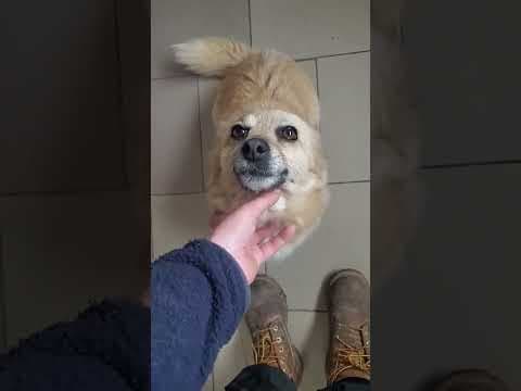 Zephira en vidéo 1