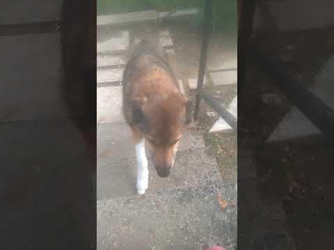 Monsieur en vidéo 7