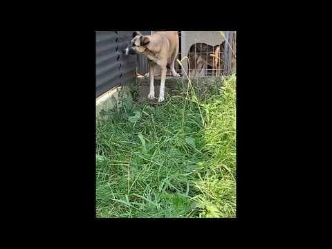 Nina en vidéo 2