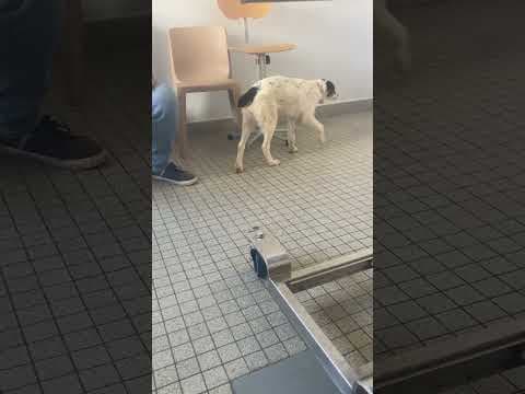 Nori en vidéo 5