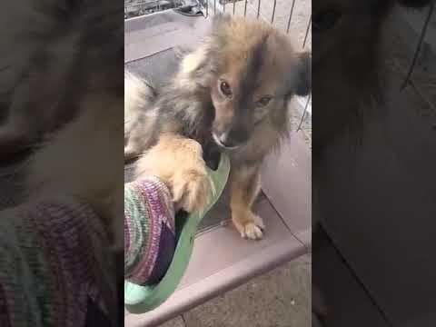 Tili en vidéo 3