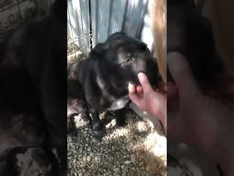 Bonnie en vidéo 1