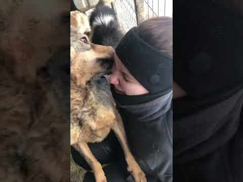 Mouchou en vidéo 2