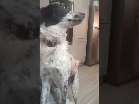 Deltyva en vidéo 4