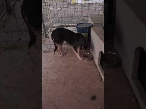 Magica en vidéo 7