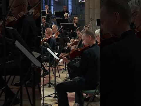 Beethoven en vidéo 6