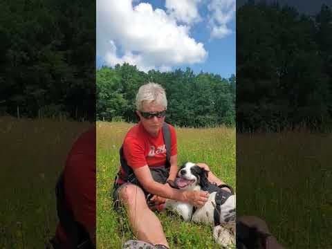 Mononoké en vidéo 1