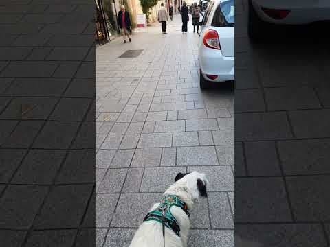Aventura en vidéo 9