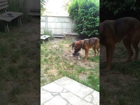 Salome en vidéo 10