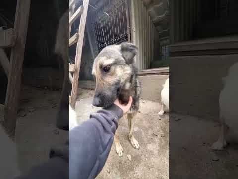 Bagster en vidéo 1