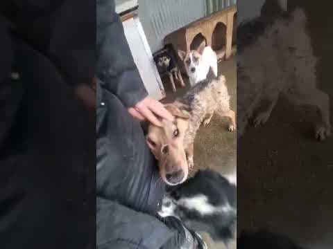 Guss en vidéo 5