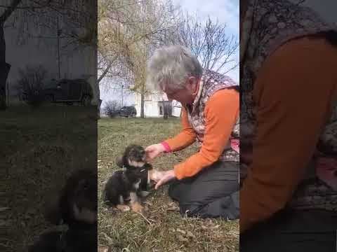 Samyboy en vidéo 1