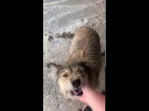 Praline en vidéo 5