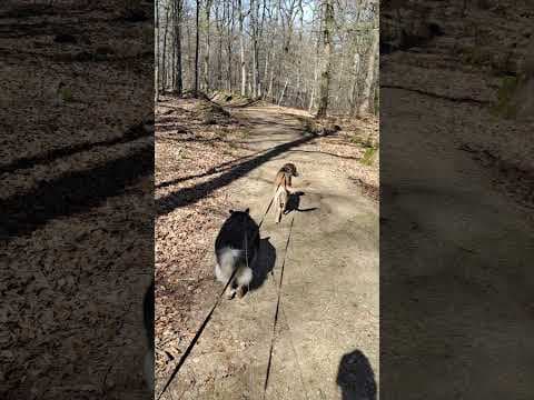 Buckley en vidéo 7