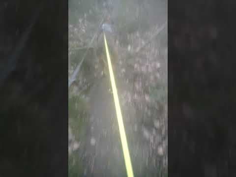 Monsieur en vidéo 12