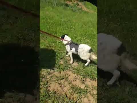 Mara en vidéo 2