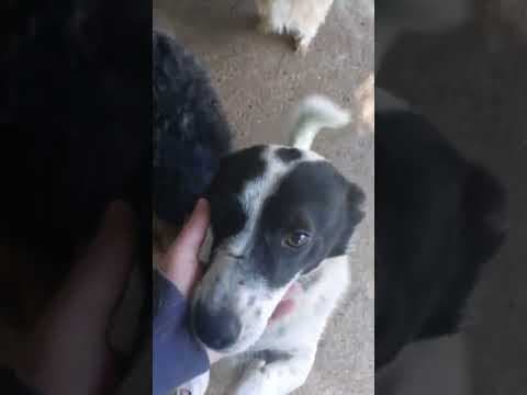 Siska en vidéo 1