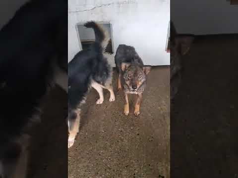 Doreen en vidéo 3