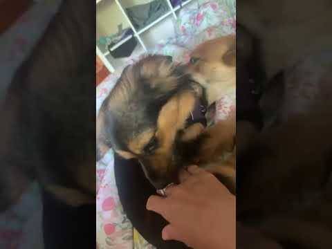 Pia en vidéo 7