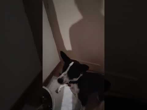 Kenjy en vidéo 8