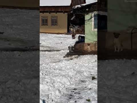 Erra en vidéo 1