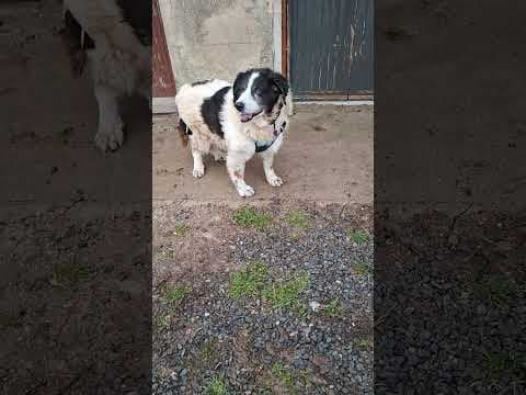Ixia en vidéo 5
