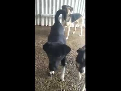 Narco en vidéo 7