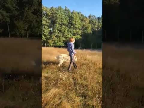Darren en vidéo 2