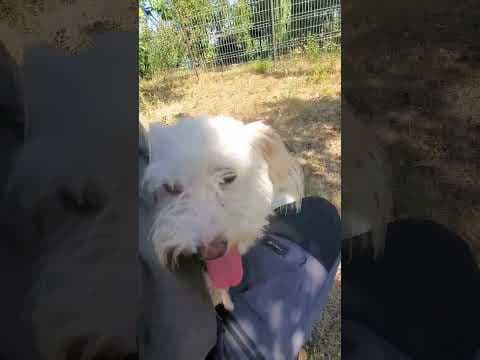 Melissa en vidéo 4