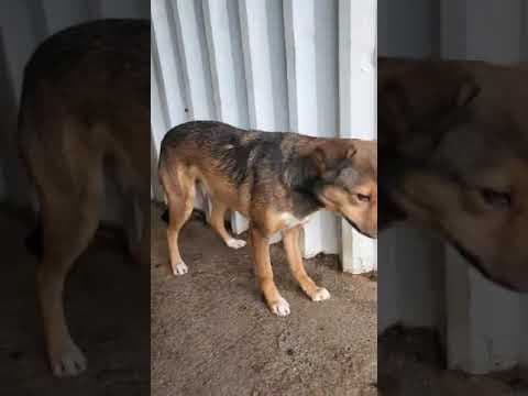 Talie en vidéo 1