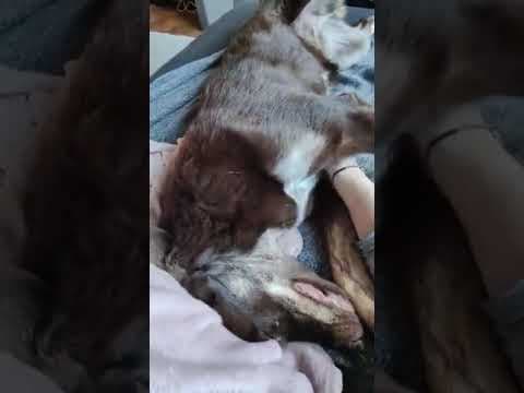 Plume en vidéo 2